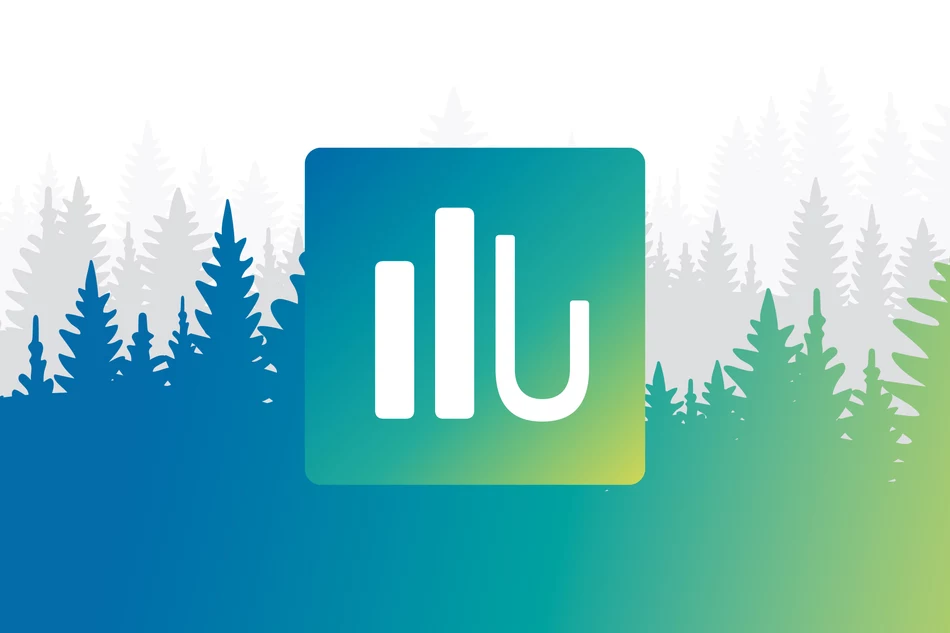 Tag des Waldes – Unser Beitrag für eine grünere Zukunft